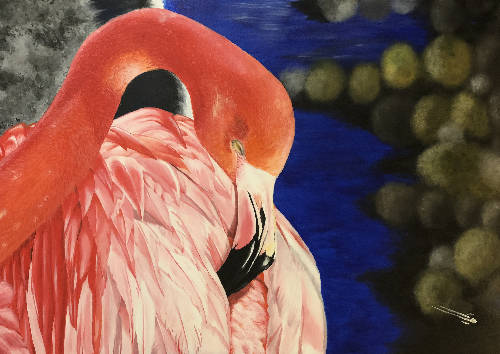 Flamingo - فلامينغو
